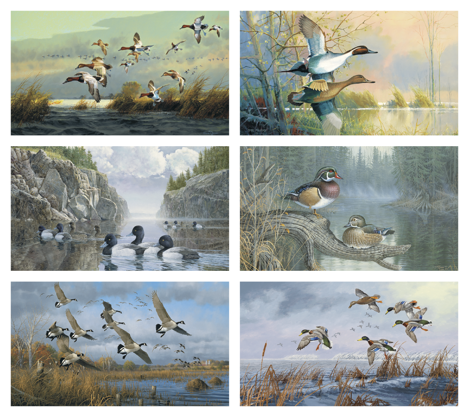 Triumph® Calendars North American Waterfowl Calendar 30