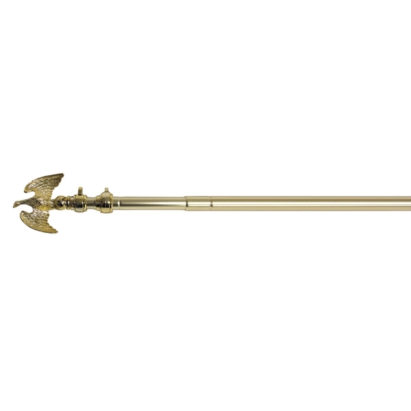 Deluxe Telescoping Aluminum Pole 2