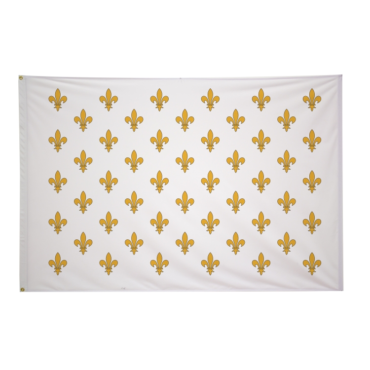4' x 6' Historical Flags 56