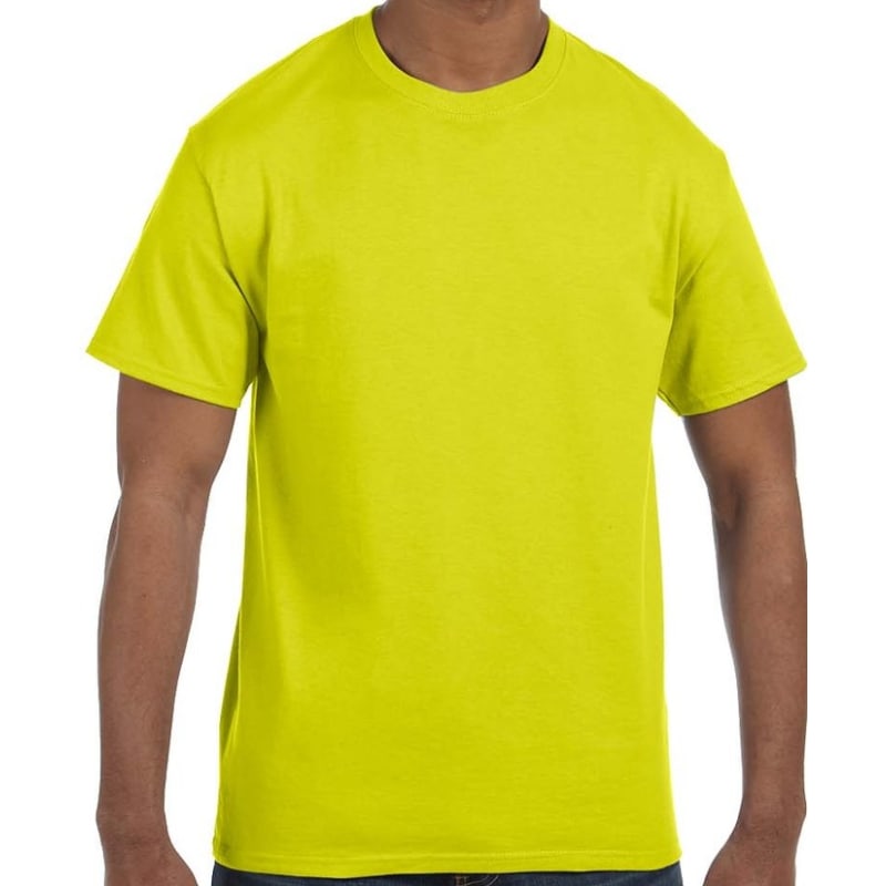 Hanes Men's Authentic-T T-Shirt 64