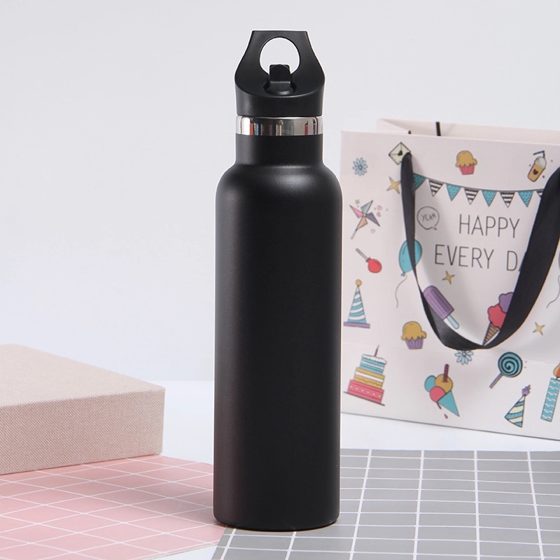 20 oz Stainless Steel Water Bottle w/Straw Lid 15
