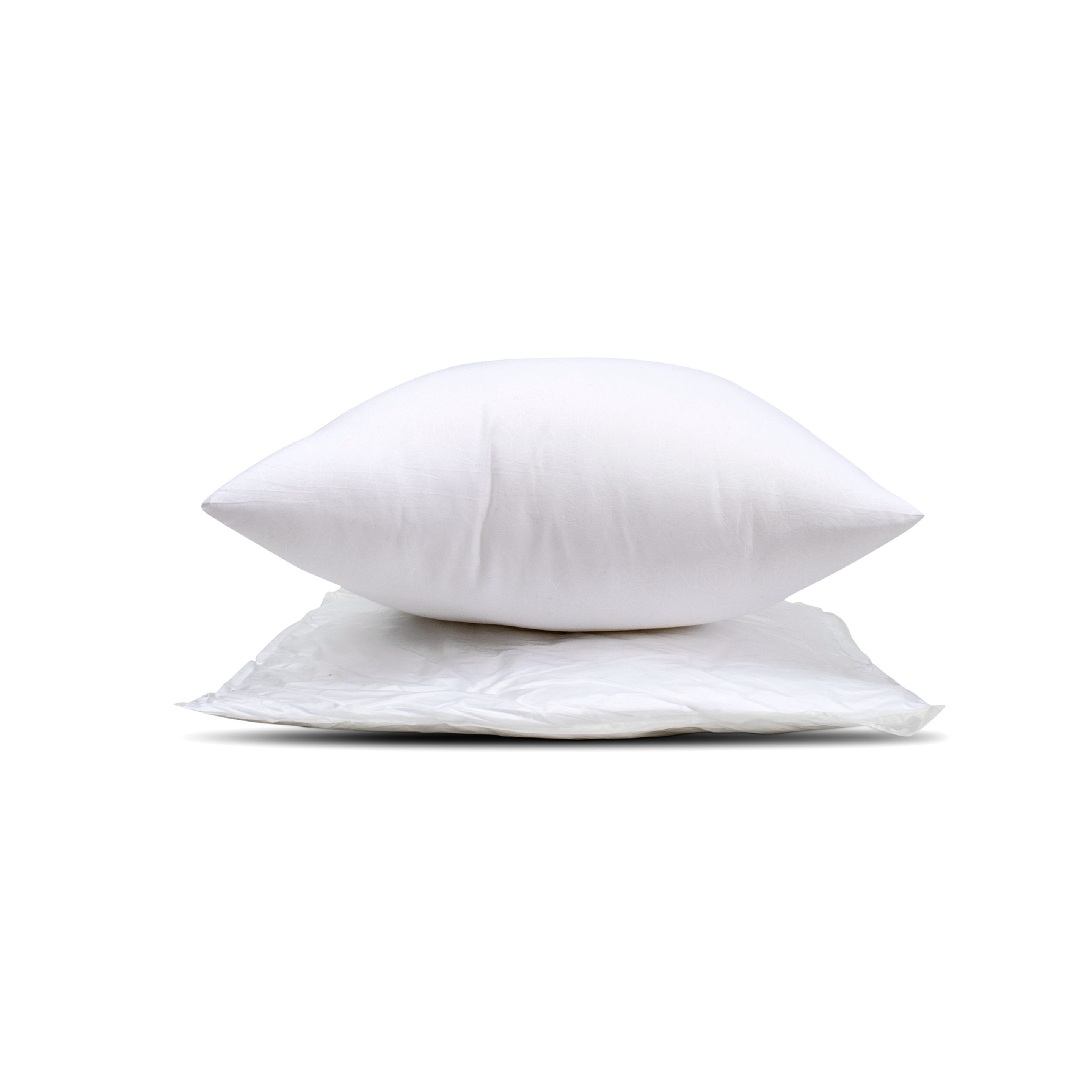 Decorative Pillow 18" x 18" (direct import) 1