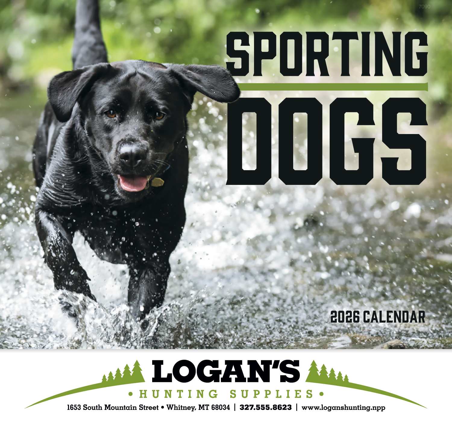 Good Value™ Sporting Dogs - Stapled Calendar 26