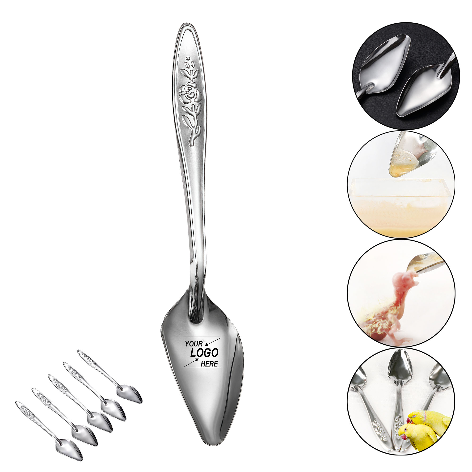 Stainless Steel Baby Bird Feeding Spoon for Parrot Chicks 2