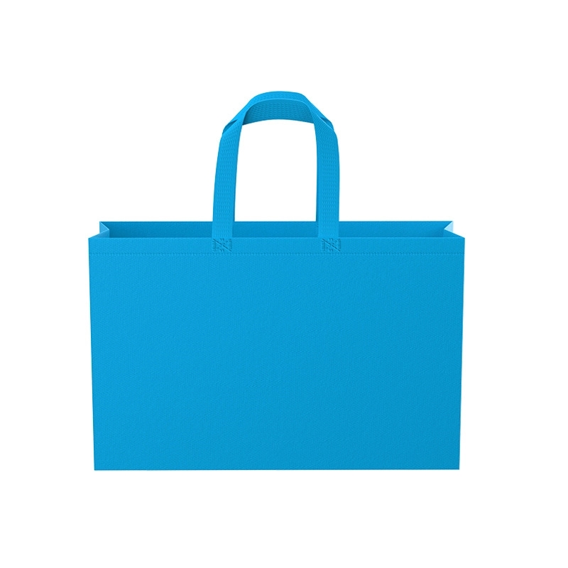 Non-woven Laminated Shopping Bags 2