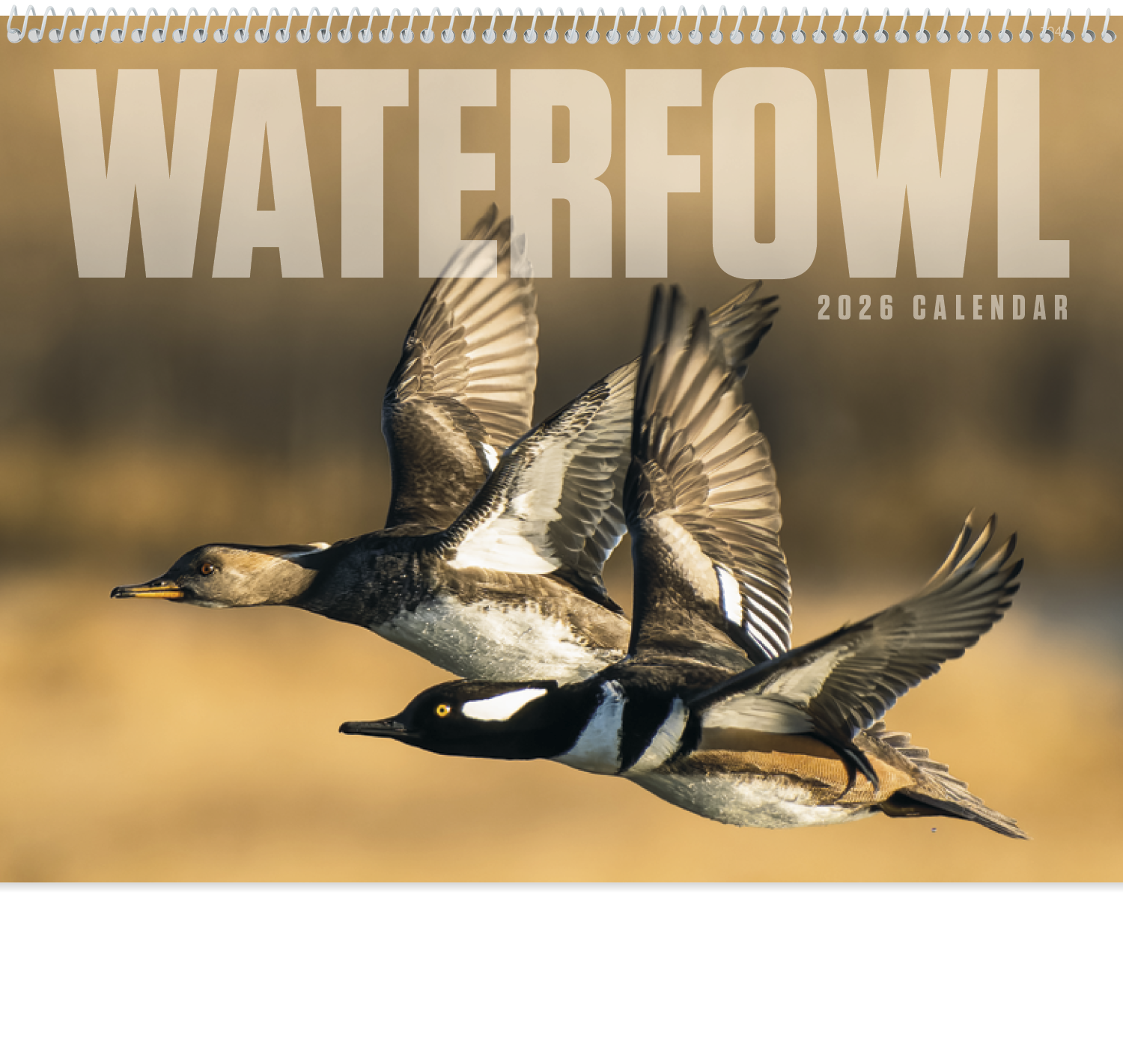 Good Value™ Waterfowl - Spiral Calendar 42