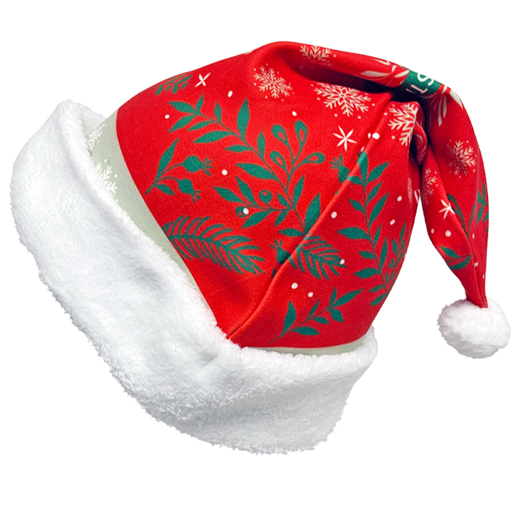 Full Color Santa Hat 3