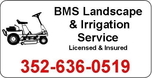 0.060" x 6" x 24" Vehicle Magnet with Vinyl lettering 1