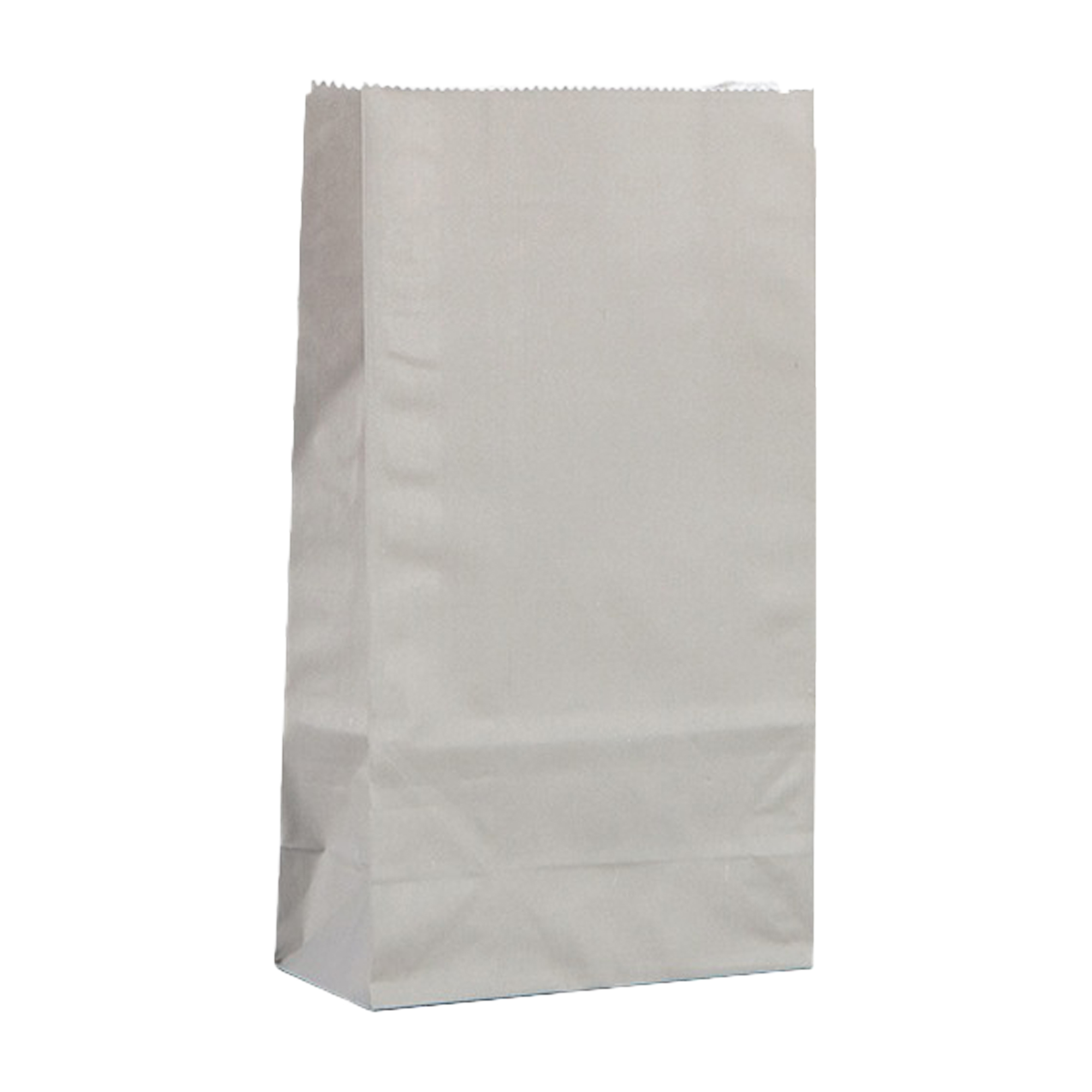 Grocery Shopping Paper Bag 10