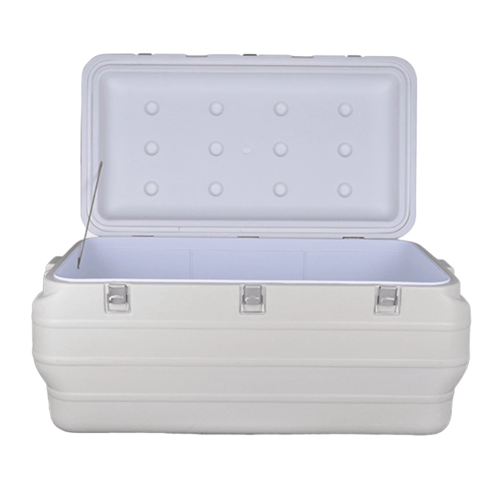 Fresh-Keeping Cold Chain Box 1