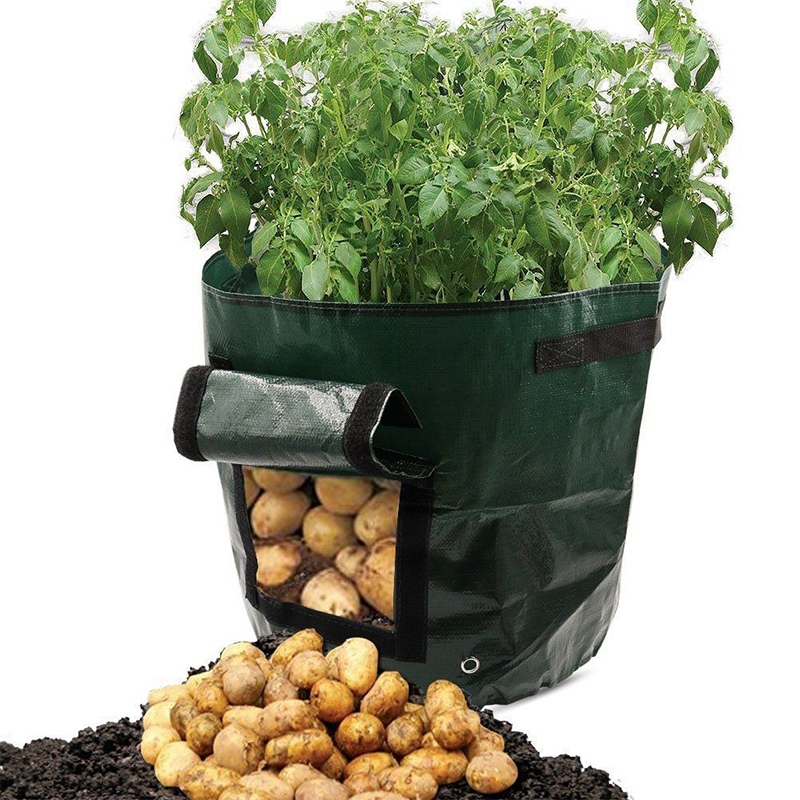 Potato Grow Bag 3