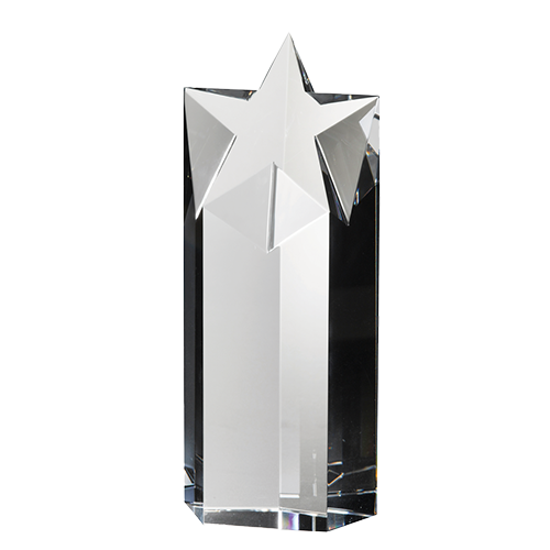 STARLITE AWARD LARGE 2
