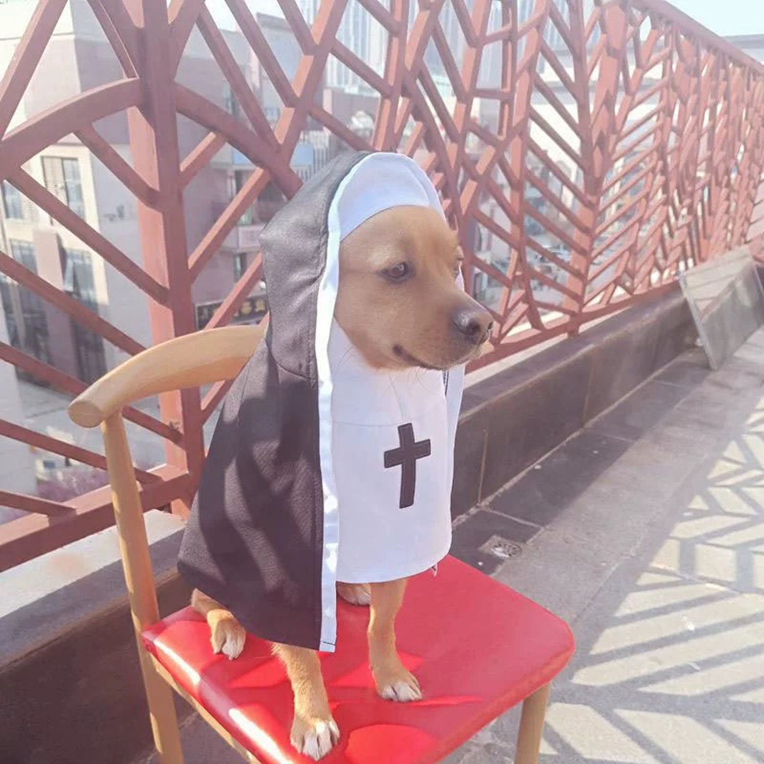 Funny Nun Costume for Pets – Cotton Halloween Outfit 3