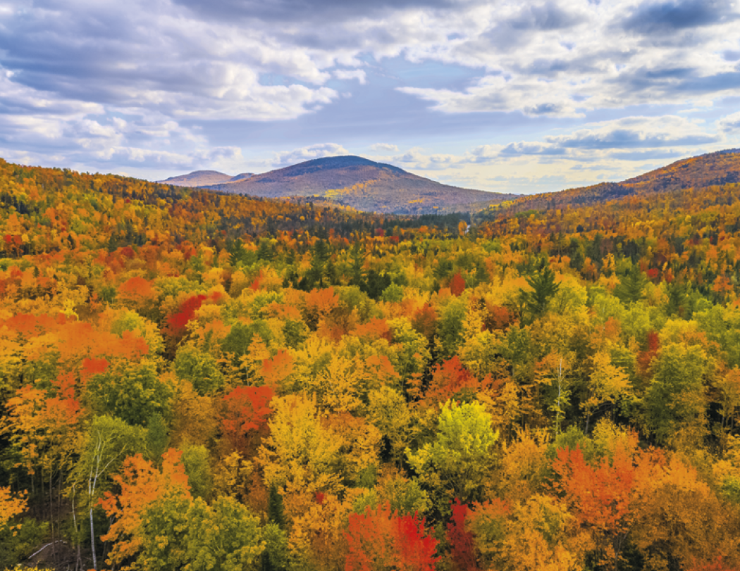 Good Value™ Landscapes of America - Stapled Calendar 2