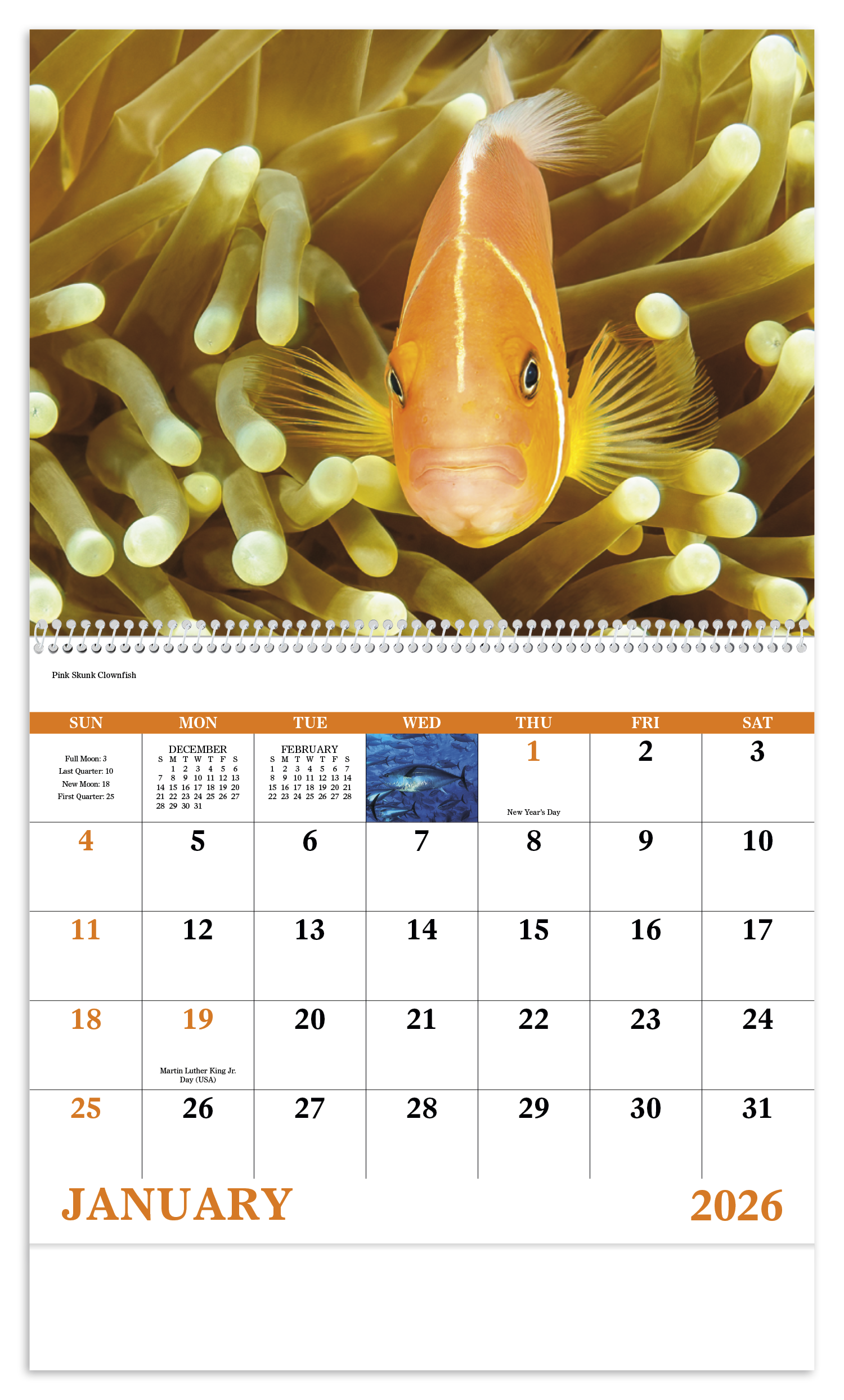 Good Value™ Ocean Glory - Spiral Calendar 44