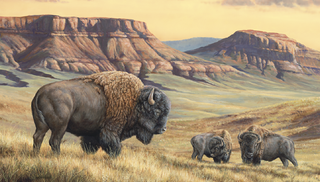 Triumph® Calendars Wildlife Art Calendar 10