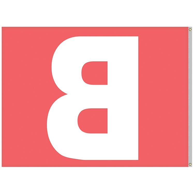 6' x 8' Nylon One Letter School Spirit Flags 4