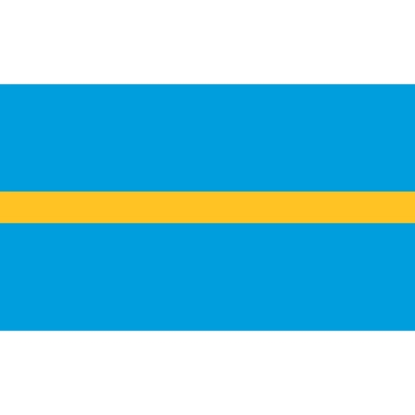 Officers Flag - Measurer 1