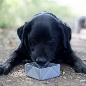 Production Portable Pet Bowl Food Tray 3