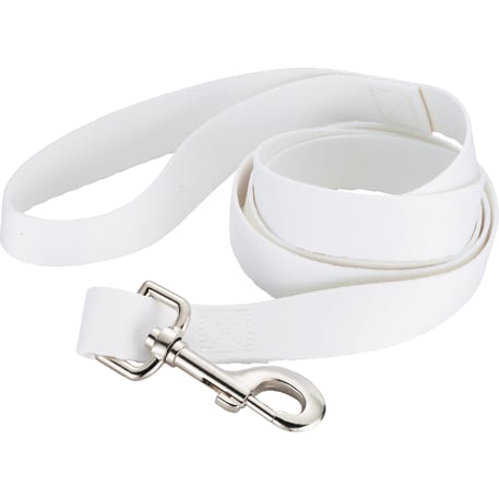 Full Color 1" Wide Premium Pet Leash 20