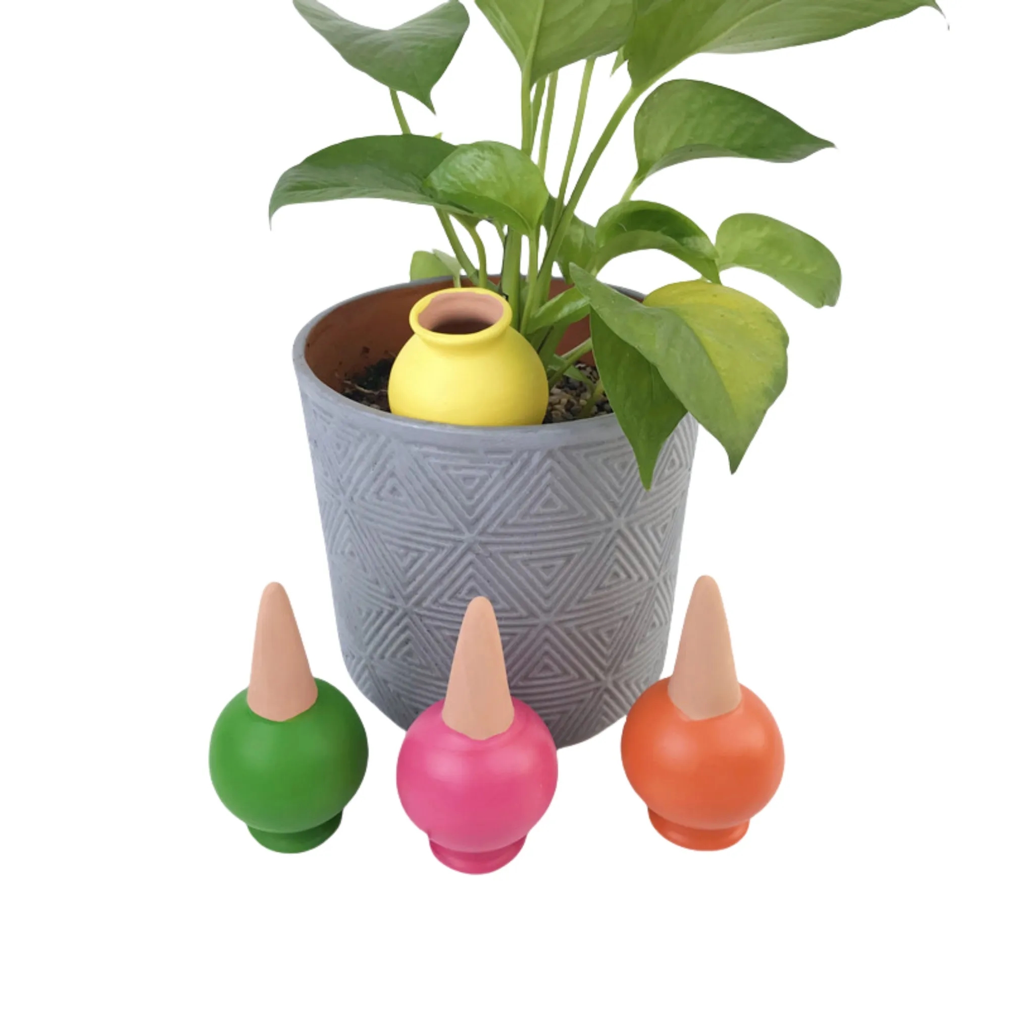 Premium Terracotta Plant Watering Globes 3