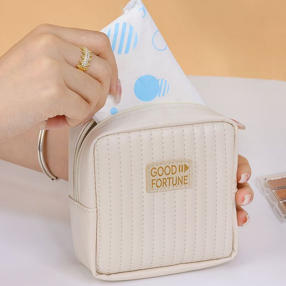 Sanitary Napkin Organiser 6