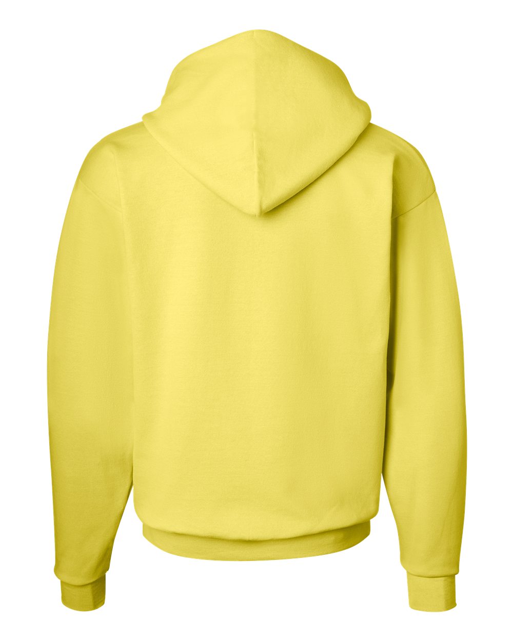 Unisex EcoSmart® Hooded Sweatshirt - P170 377