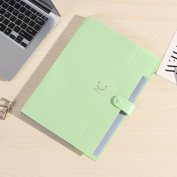 Colored Expanding File Folder 7