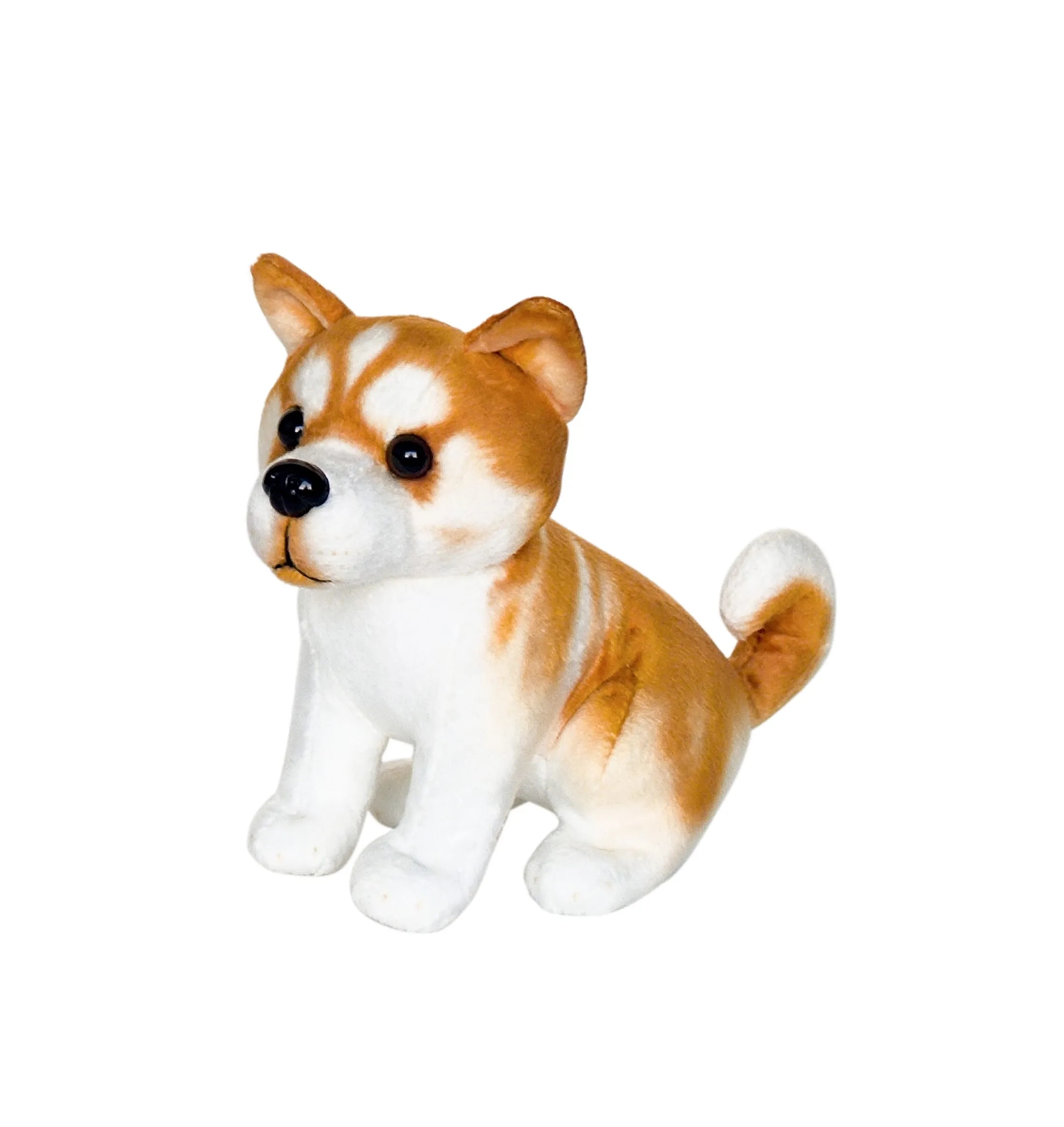 Akita Dog 2