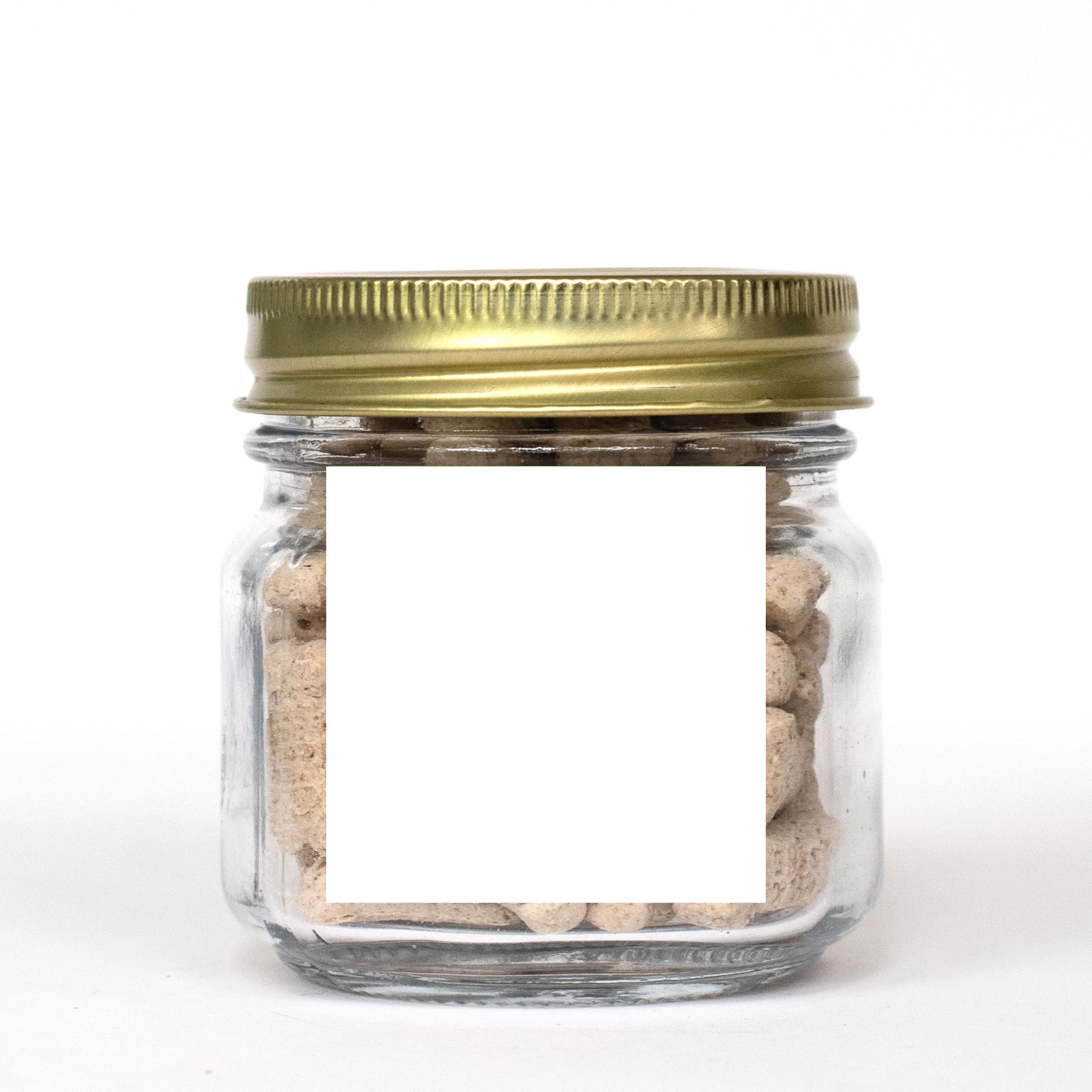 Pint Jar w/ Square Magnet Pet Fill 3