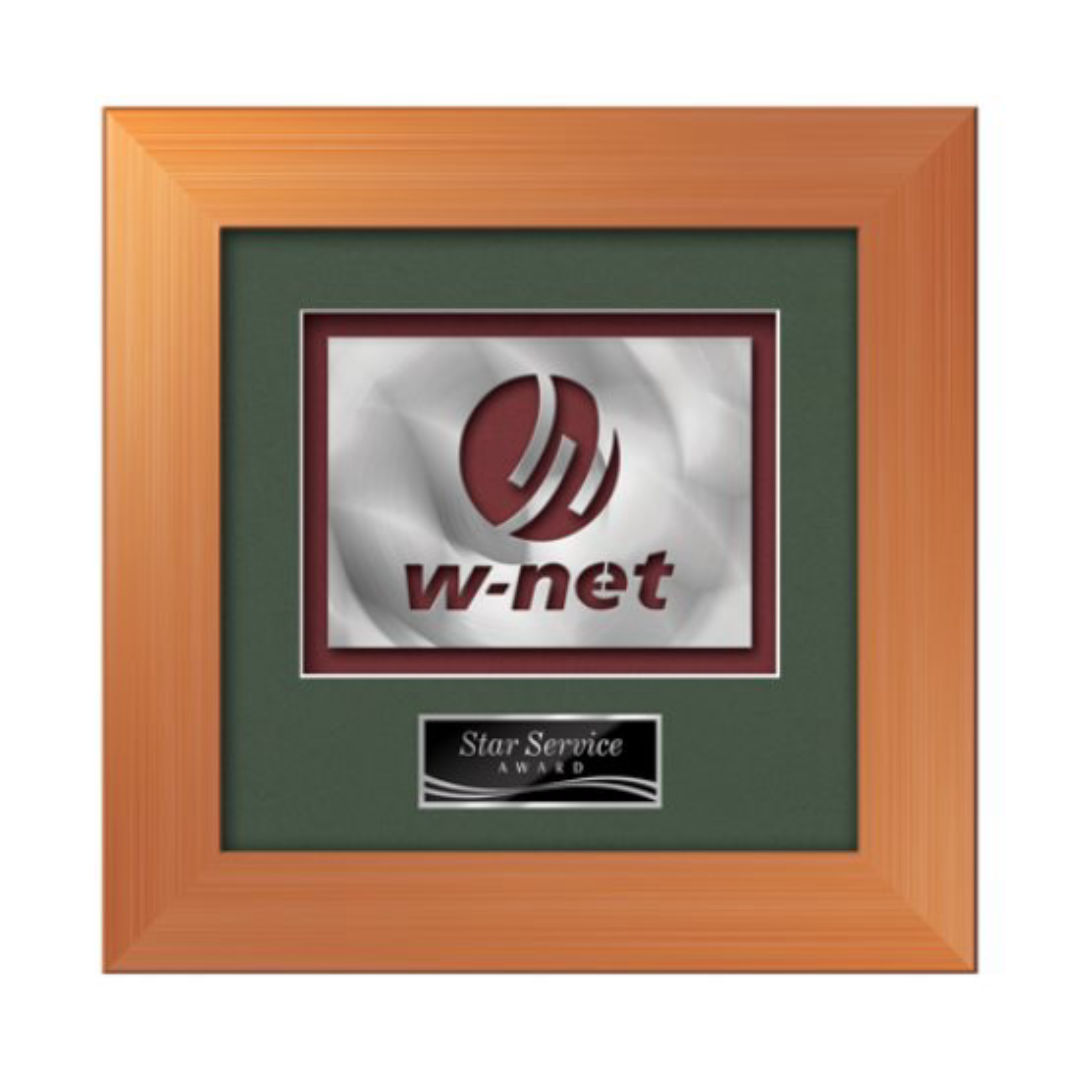 Premier Aquashape™ Award - Bronze 6