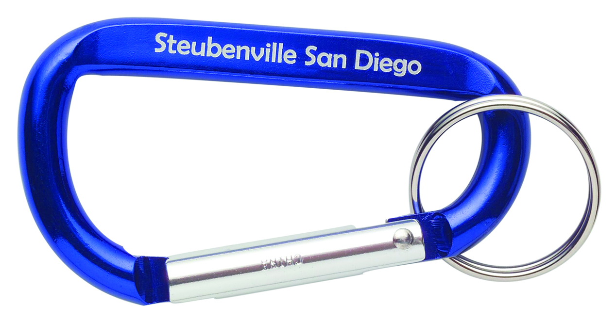Carabiners With Keyring