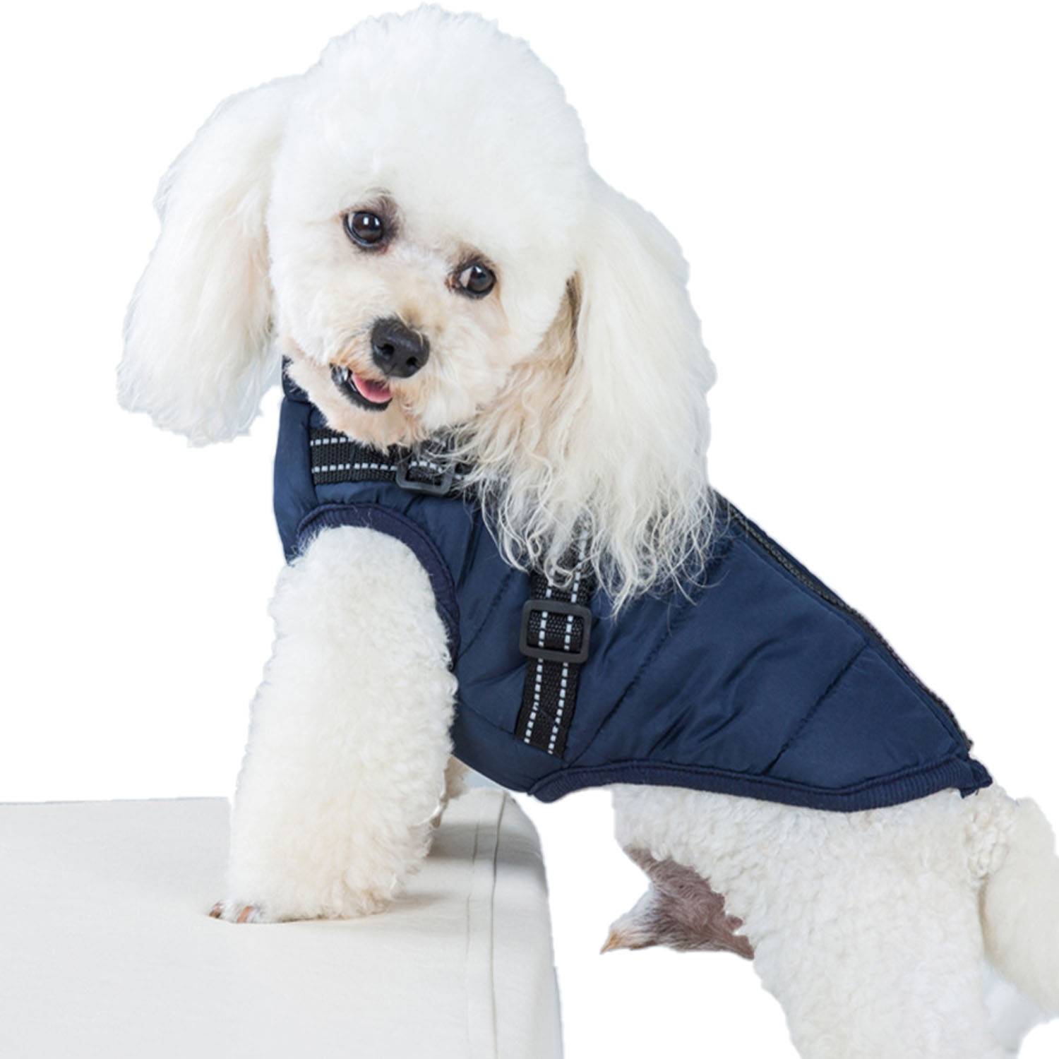 Cotton-Padded Dog Vest 10