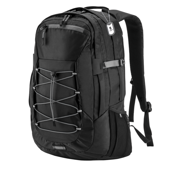 Basecamp Globetrotter Laptop Backpack 2