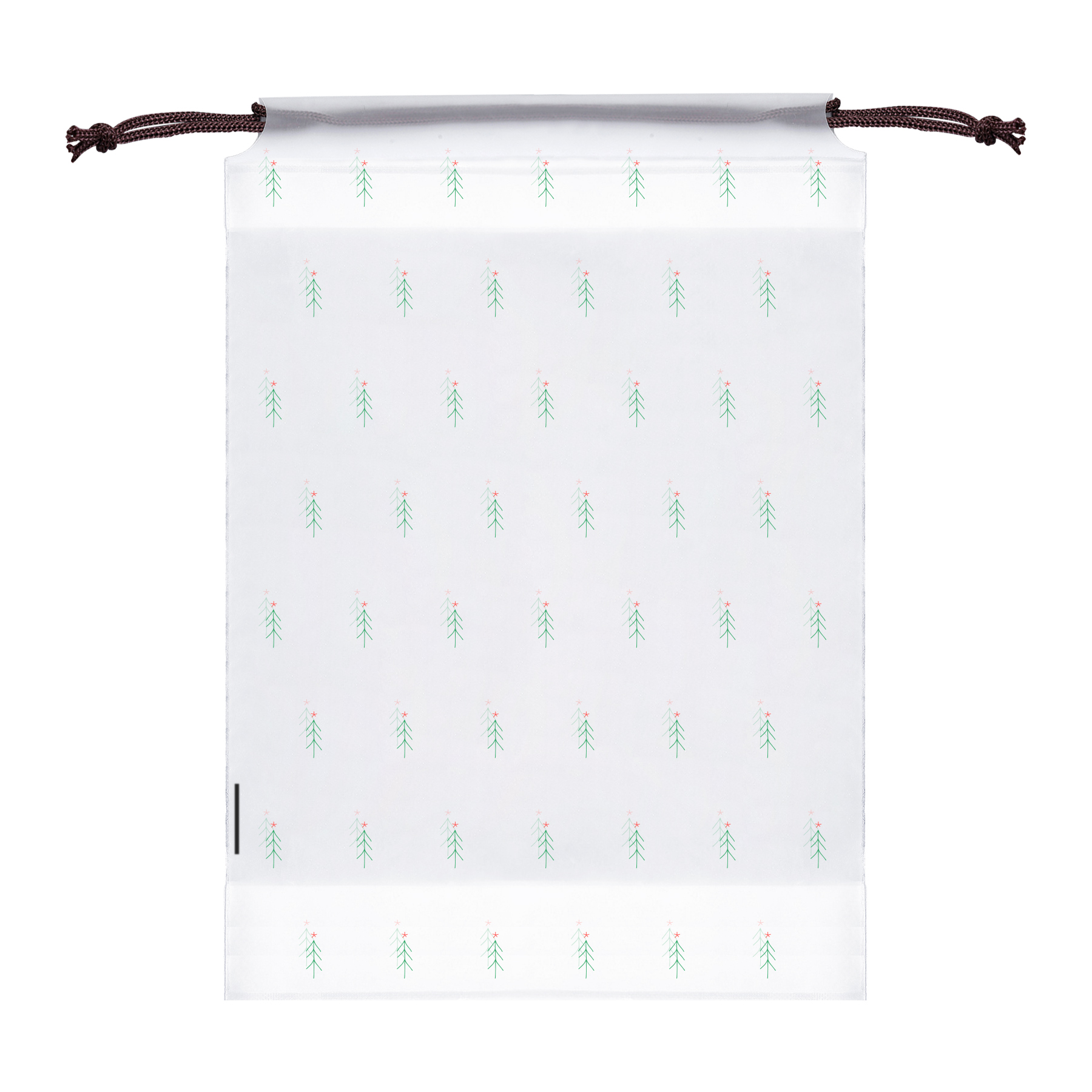 Clear PE Shoe Bags for Travel 9