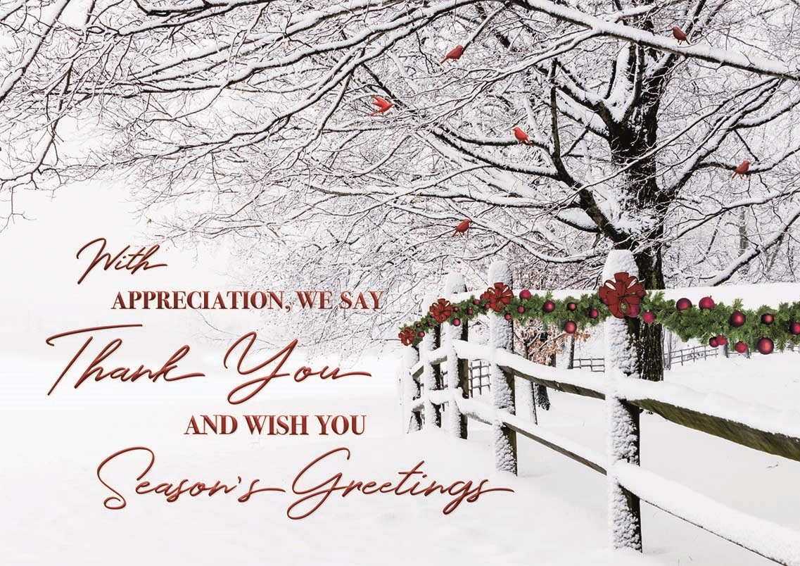 Winter Wishes Holiday Cards 1