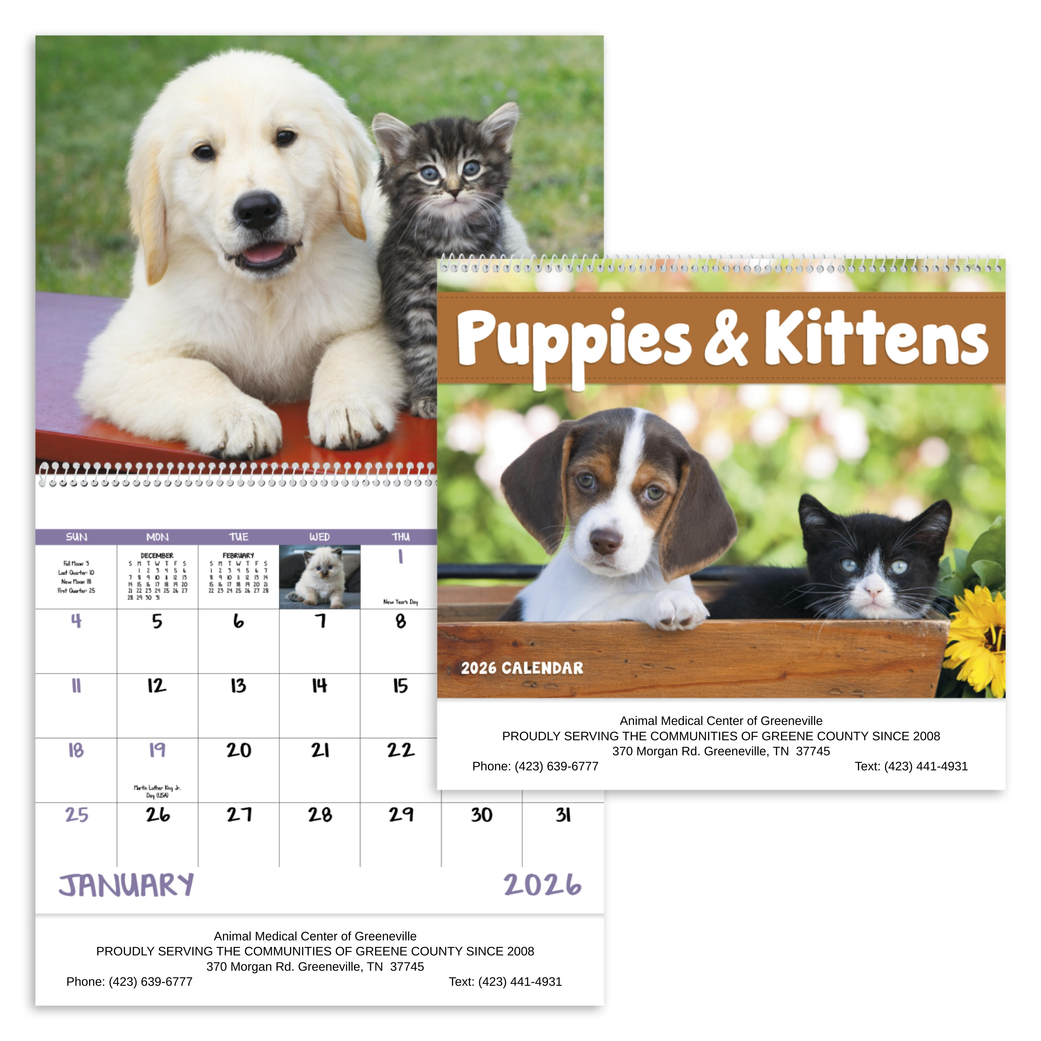 13 Month Puppies and Kittens - Spiral 2