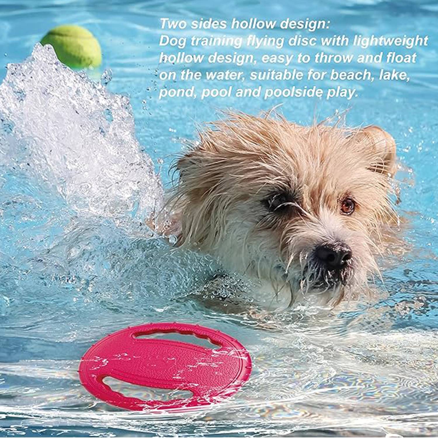 Dog Flying Disc EVA Bite-Resistant for Training 2