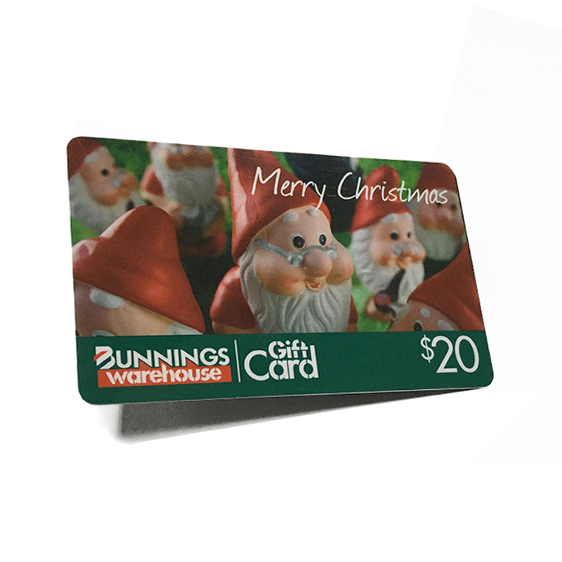 Plastic Credit Membership Card 2
