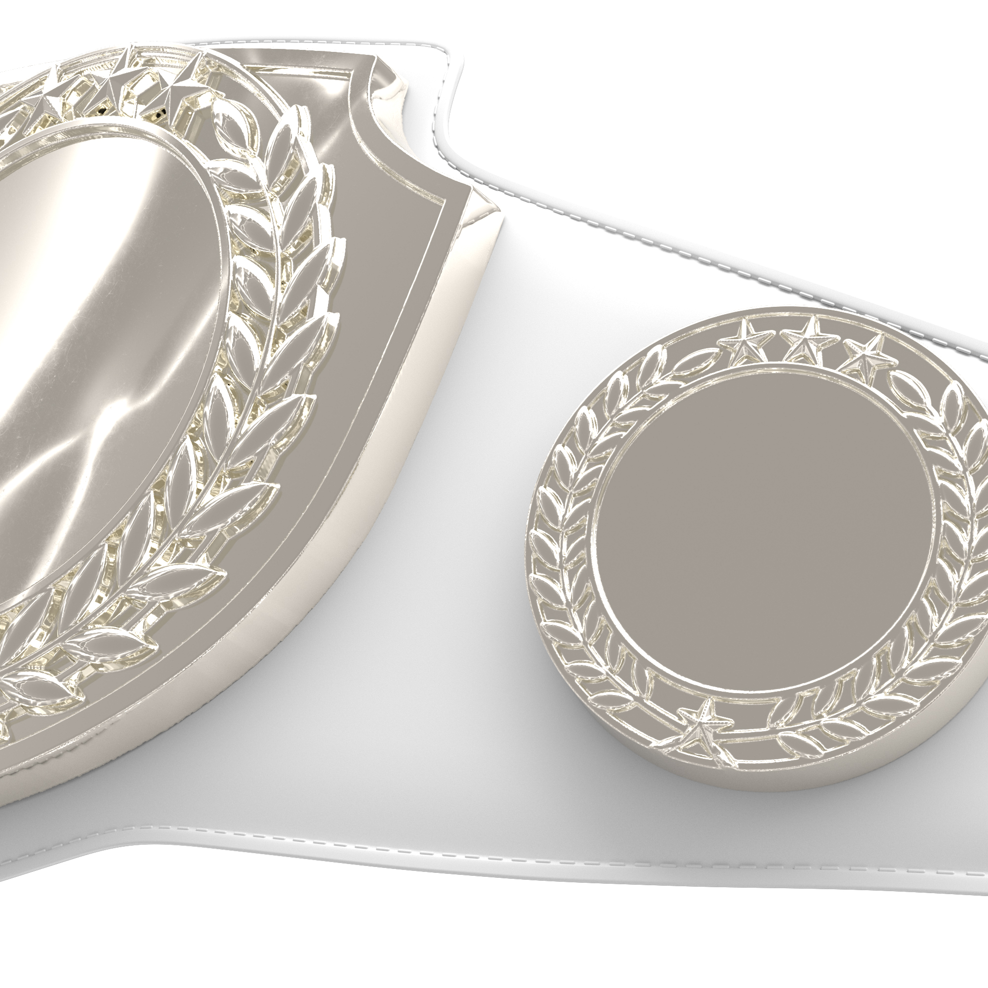 Express Vibraprint® Bright Silver Champion Award Shield Belt 10