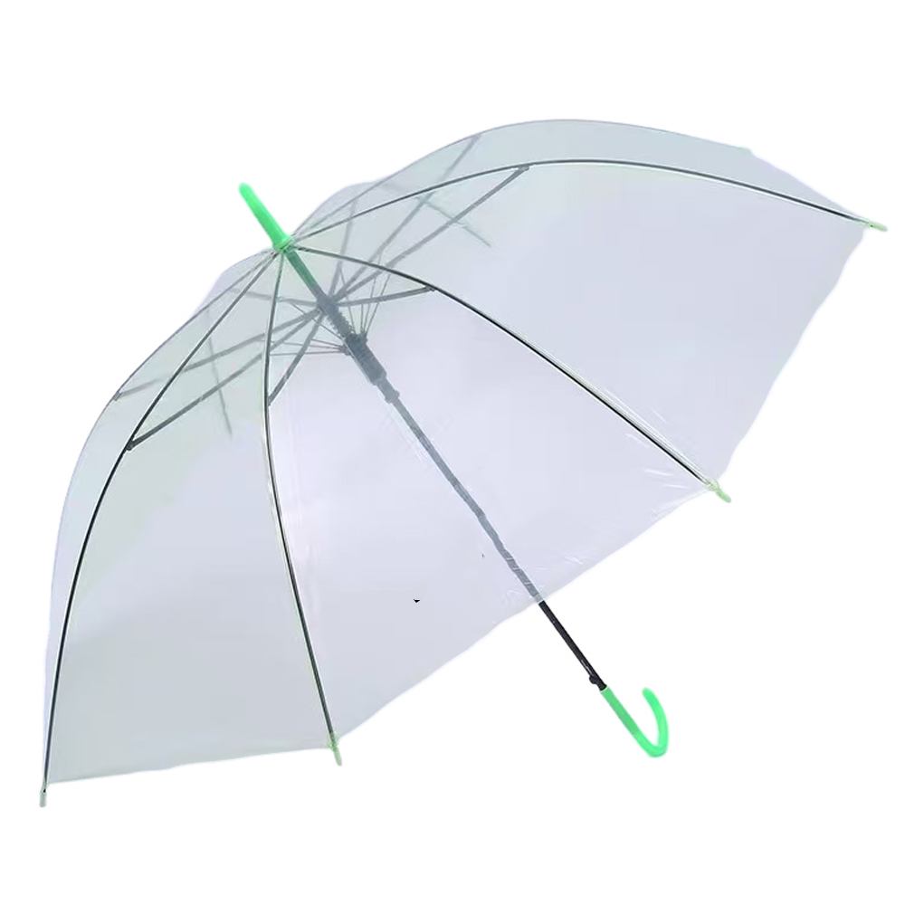 Professional Full-Length Clear Canopy Umbrella 2