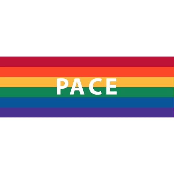 Pace Window Decals 3" x 10" 2