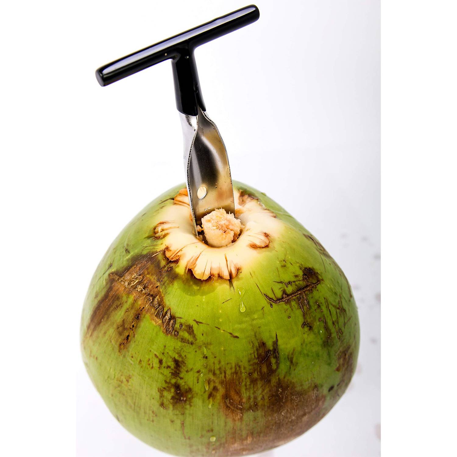 Coconut Opener Tool 2