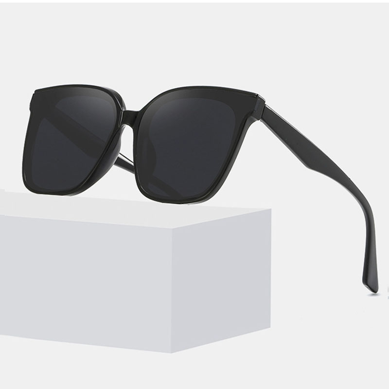 Regular Sunglasses 2