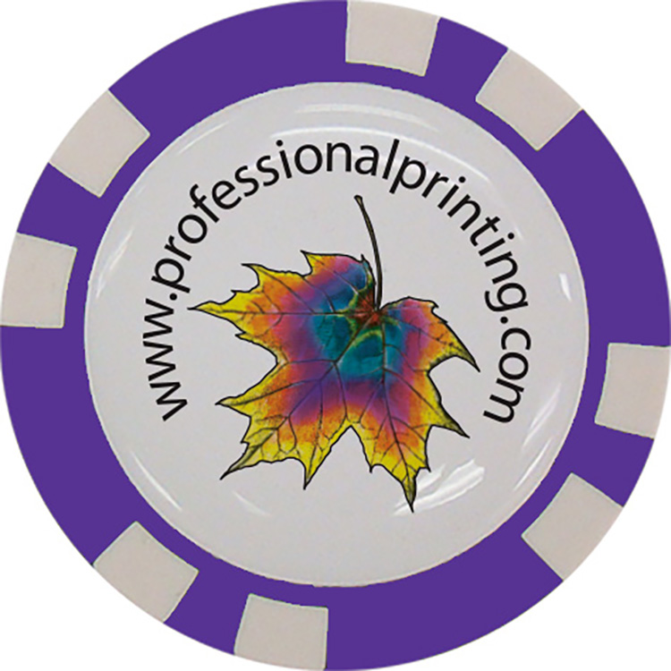 Resin Domed Poker Chip (plastic chip) 4