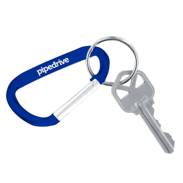 Carabiner Keychain 19