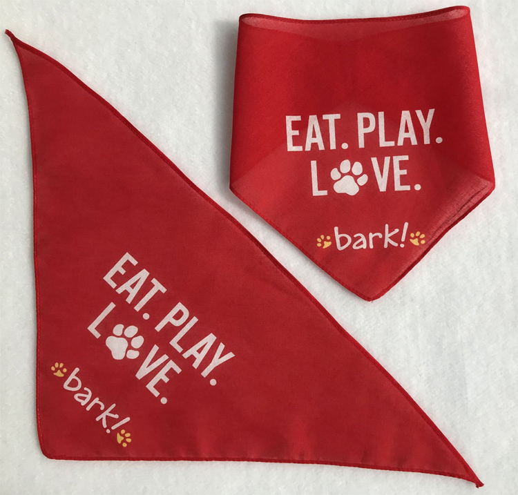 Pet Triangle Scarf 1