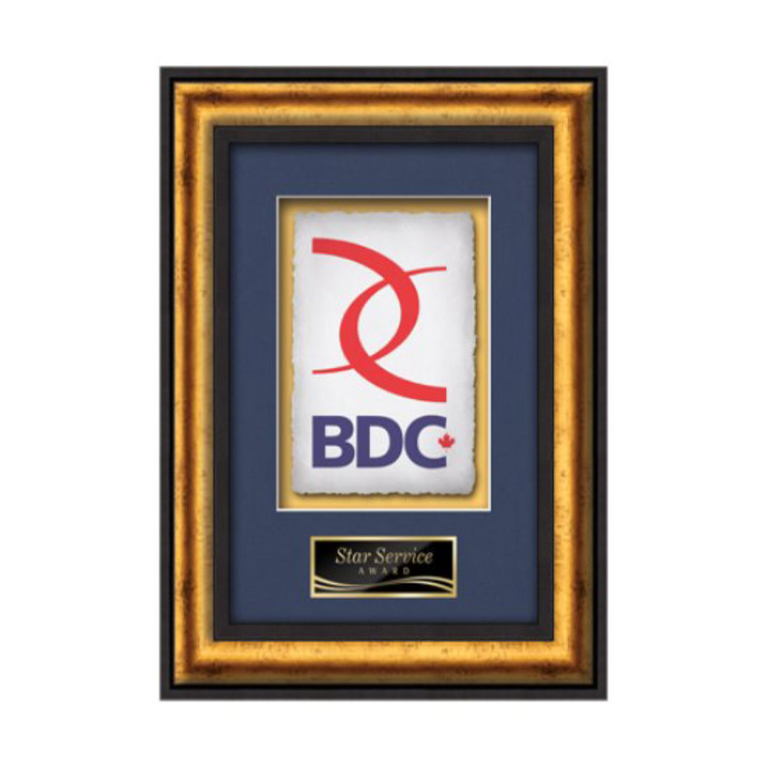 Grazia -  Black/Gold 3