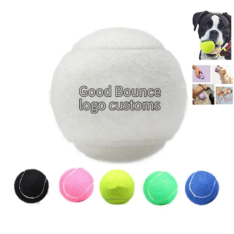 Pet Training Ball 1