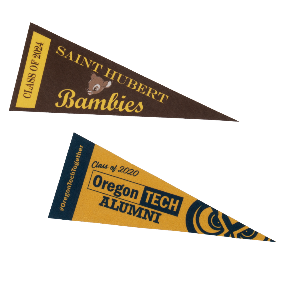4" x 10" Full Color Felt Pennant, No Strip 4